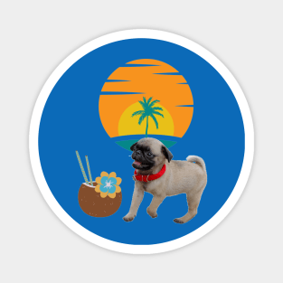 Tiny dog , coco drink and palm tree on sunset background . Magnet